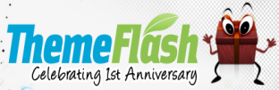 Theme Flash